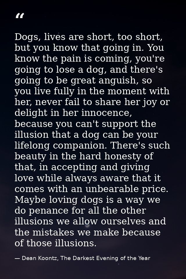 Dogs, lives are short, too short, but you know that going in. You know the pain is coming, you're going to lose a dog, a — Dean Koontz, The Darkest Evening of the Year