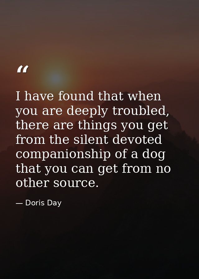 I have found that when you are deeply troubled, there are things you get from the silent devoted companionship of a dog  — Doris Day
