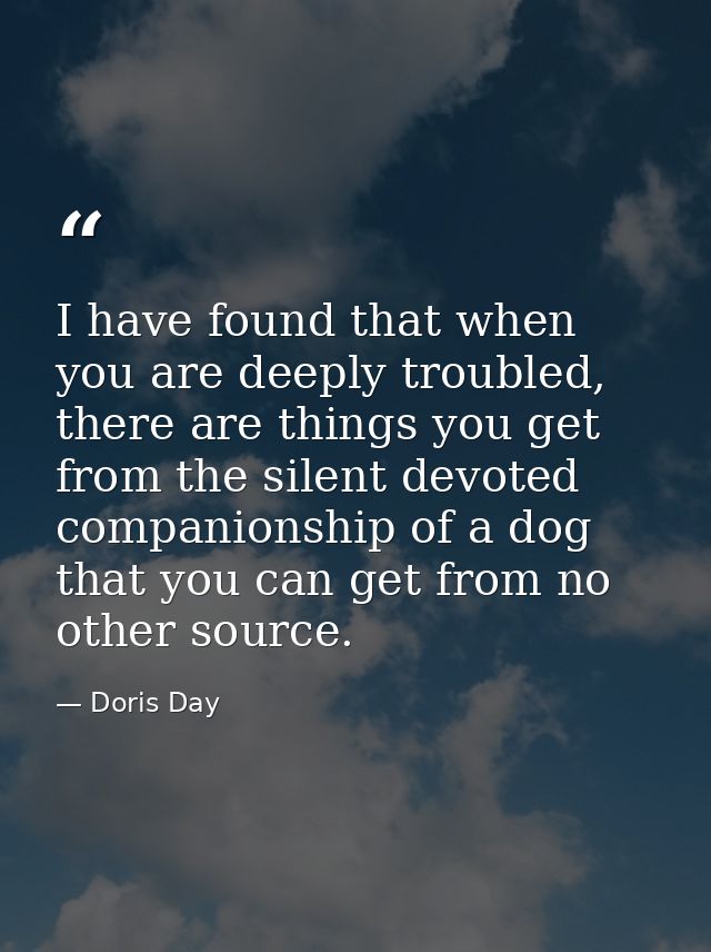 I have found that when you are deeply troubled, there are things you get from the silent devoted companionship of a dog  — Doris Day