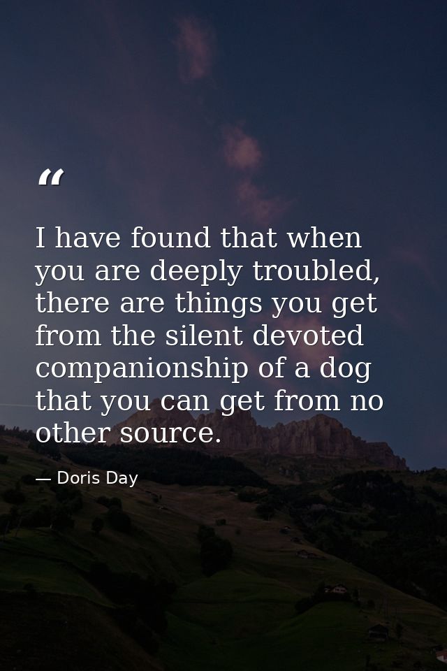 I have found that when you are deeply troubled, there are things you get from the silent devoted companionship of a dog  — Doris Day