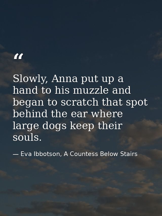 Slowly, Anna put up a hand to his muzzle and began to scratch that spot behind the ear where large dogs keep their souls — Eva Ibbotson, A Countess Below Stairs