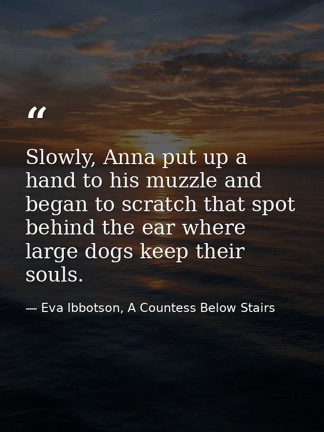 Slowly, Anna put up a hand to his muzzle and began to scratch that spot behind the ear where large dogs keep their souls — Eva Ibbotson, A Countess Below Stairs