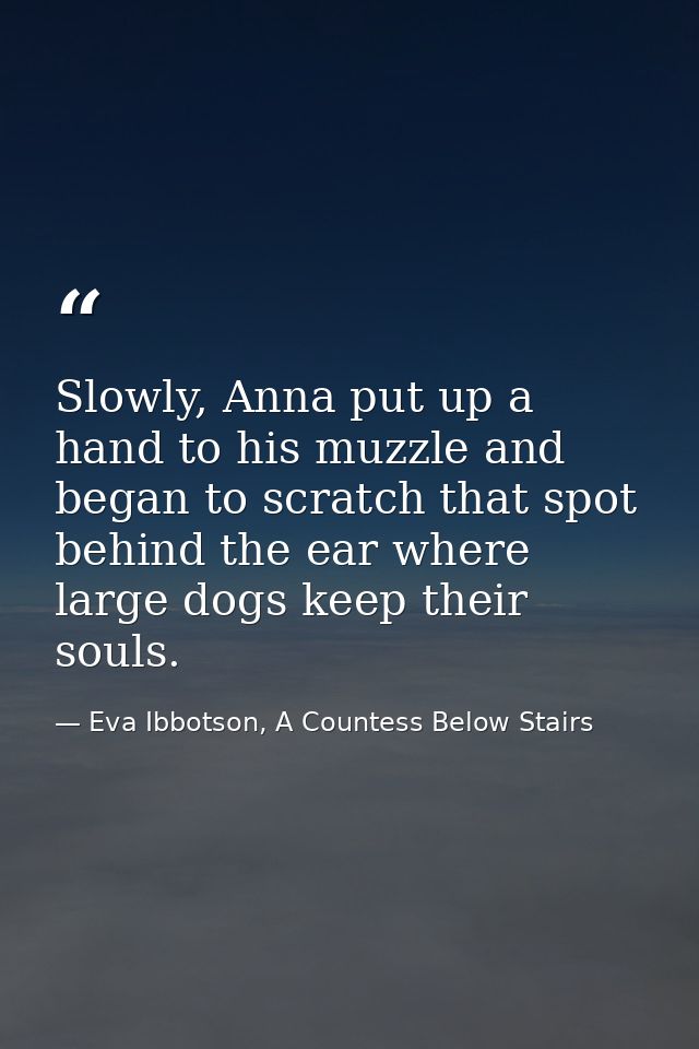 Slowly, Anna put up a hand to his muzzle and began to scratch that spot behind the ear where large dogs keep their souls — Eva Ibbotson, A Countess Below Stairs