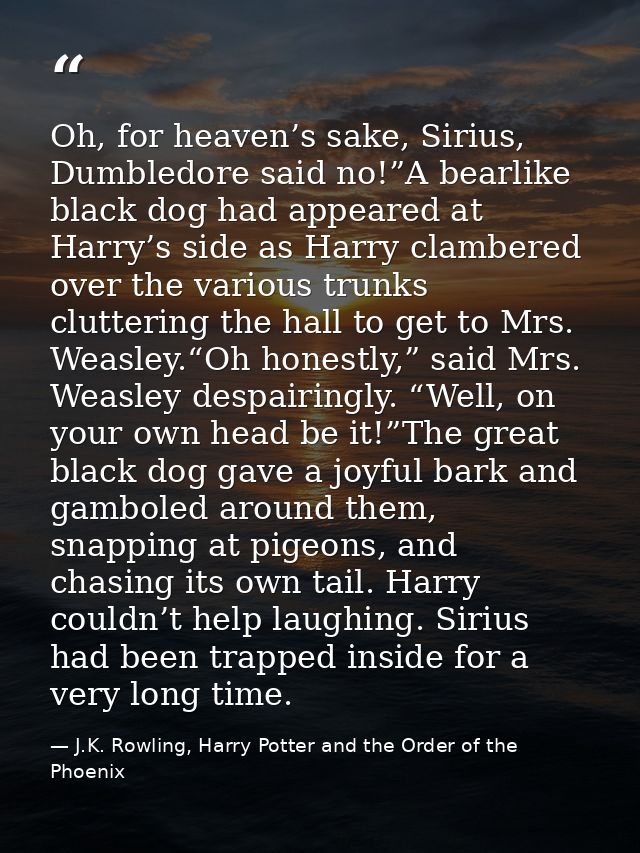 Oh, for heaven’s sake, Sirius, Dumbledore said no!”A bearlike black dog had appeared at Harry’s side as Harry clambered  — J.K. Rowling, Harry Potter and the Order of the Phoenix