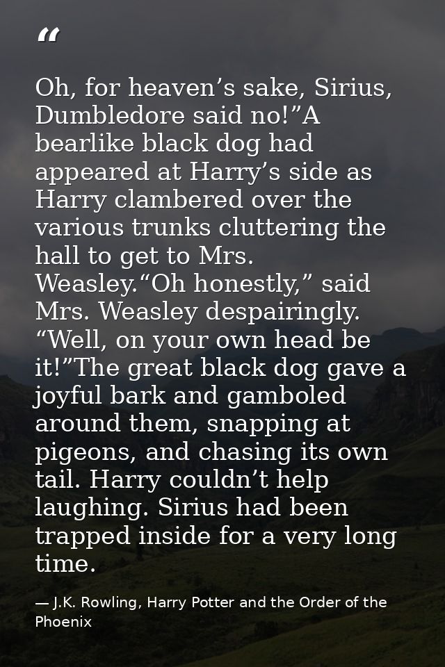 Oh, for heaven’s sake, Sirius, Dumbledore said no!”A bearlike black dog had appeared at Harry’s side as Harry clambered  — J.K. Rowling, Harry Potter and the Order of the Phoenix
