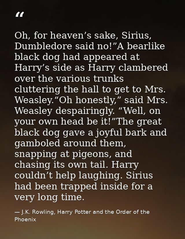 Oh, for heaven’s sake, Sirius, Dumbledore said no!”A bearlike black dog had appeared at Harry’s side as Harry clambered  — J.K. Rowling, Harry Potter and the Order of the Phoenix