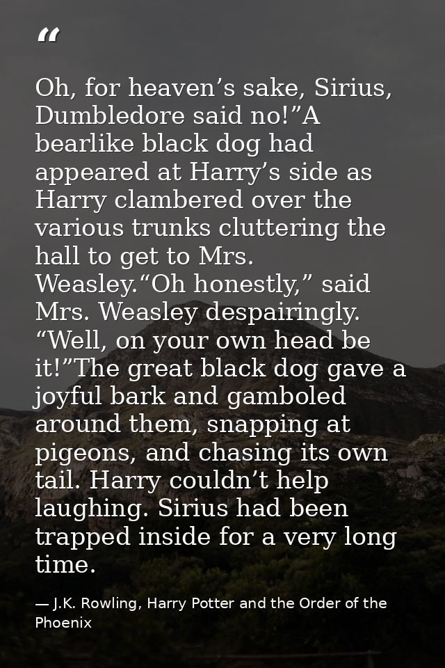 Oh, for heaven’s sake, Sirius, Dumbledore said no!”A bearlike black dog had appeared at Harry’s side as Harry clambered  — J.K. Rowling, Harry Potter and the Order of the Phoenix