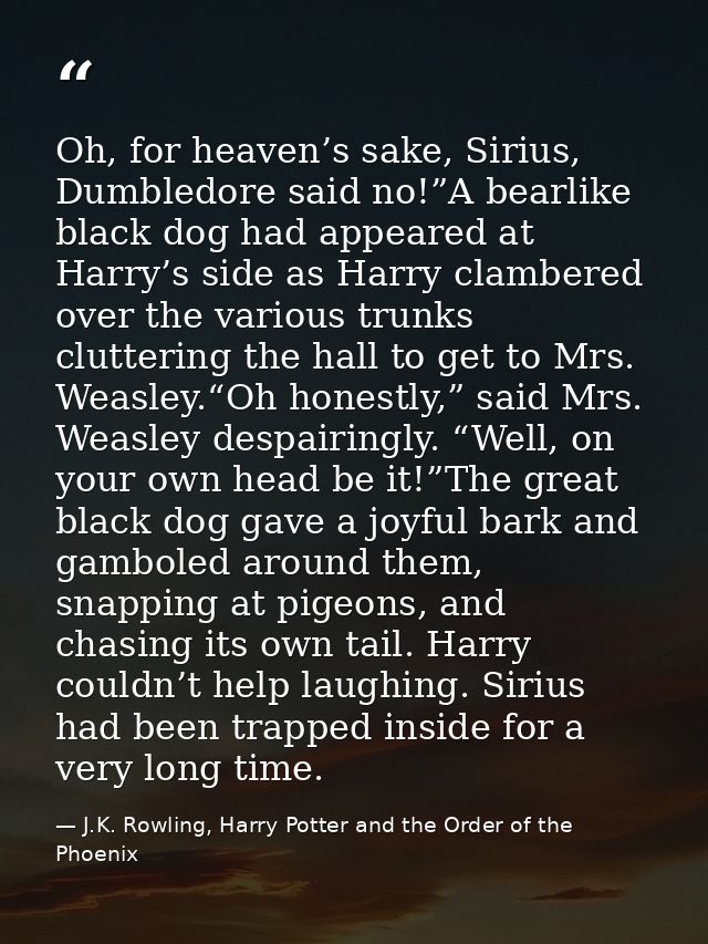 Oh, for heaven’s sake, Sirius, Dumbledore said no!”A bearlike black dog had appeared at Harry’s side as Harry clambered  — J.K. Rowling, Harry Potter and the Order of the Phoenix