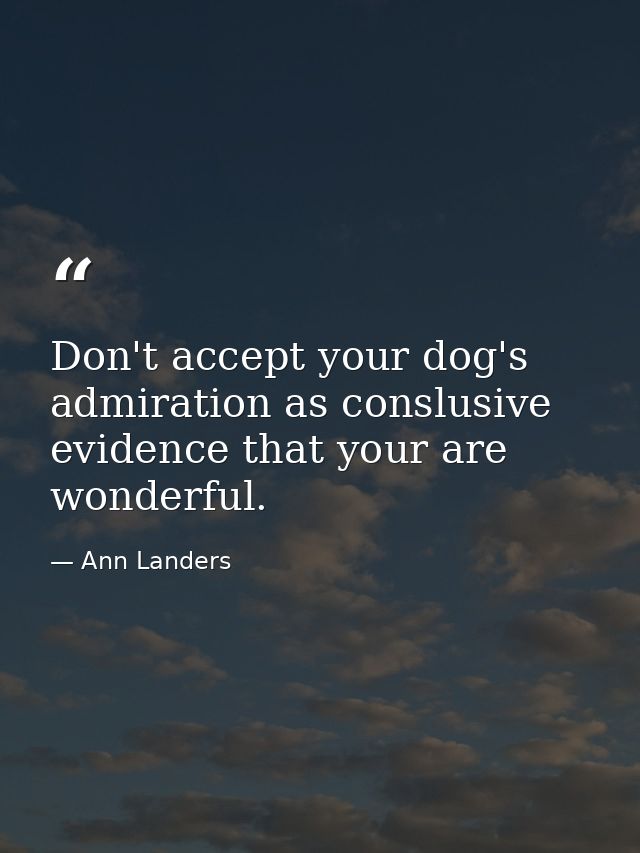 Don't accept your dog's admiration as conslusive evidence that your are wonderful. — Ann Landers