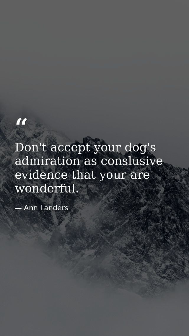 Don't accept your dog's admiration as conslusive evidence that your are wonderful. — Ann Landers