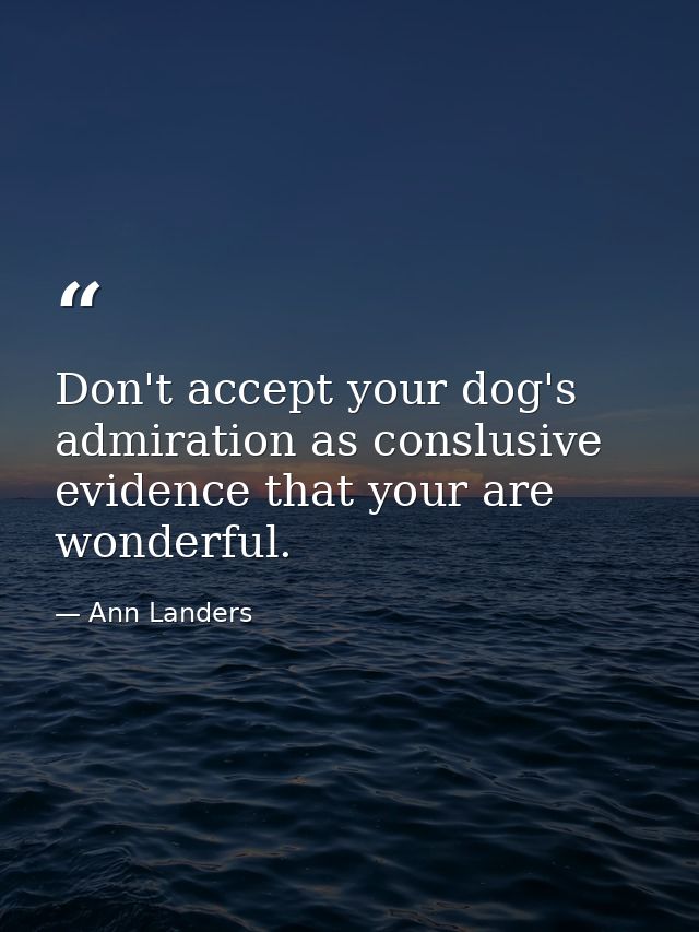 Don't accept your dog's admiration as conslusive evidence that your are wonderful. — Ann Landers