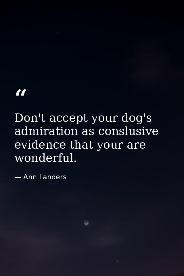 Don't accept your dog's admiration as conslusive evidence that your are wonderful. — Ann Landers