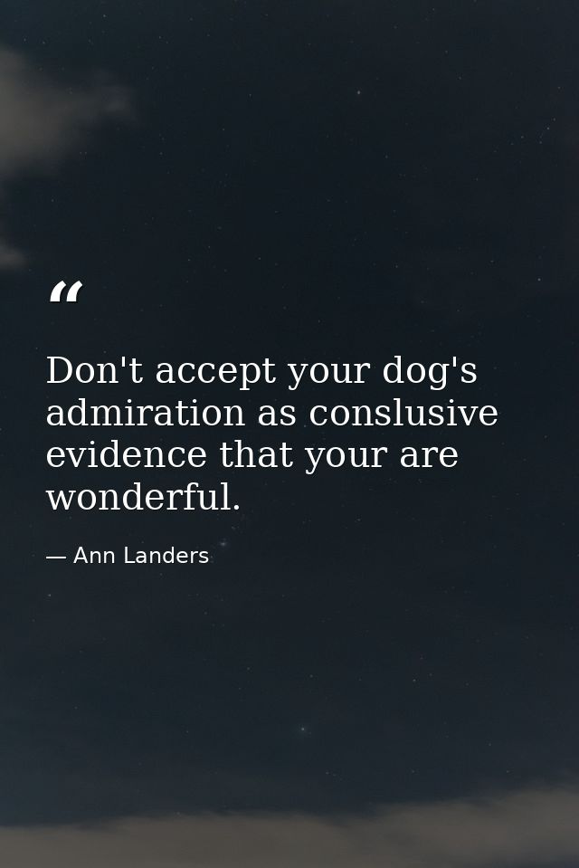 Don't accept your dog's admiration as conslusive evidence that your are wonderful. — Ann Landers