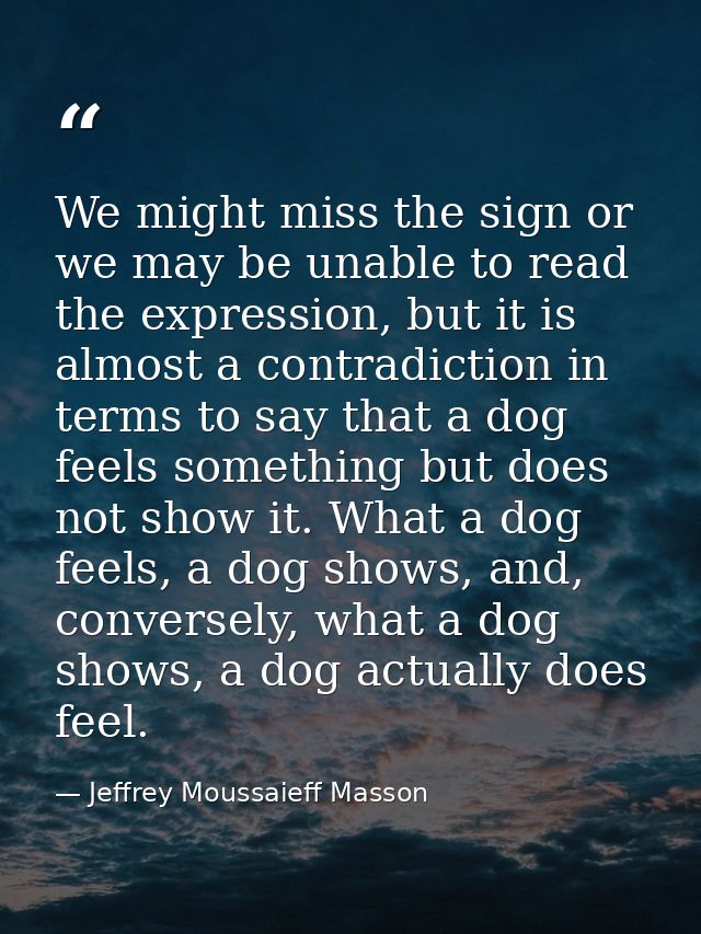 We might miss the sign or we may be unable to read the expression, but it is almost a contradiction in terms to say that — Jeffrey Moussaieff Masson