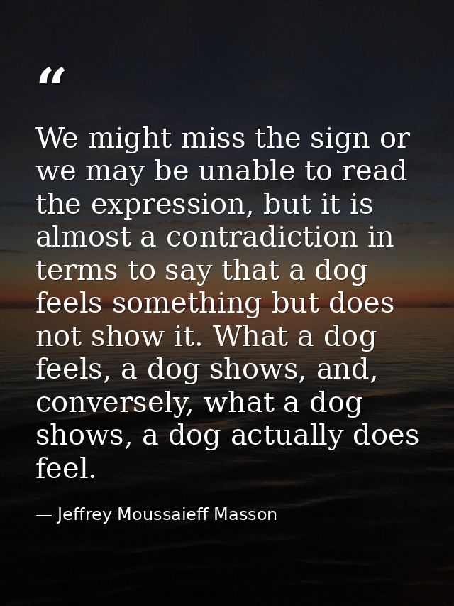 We might miss the sign or we may be unable to read the expression, but it is almost a contradiction in terms to say that — Jeffrey Moussaieff Masson