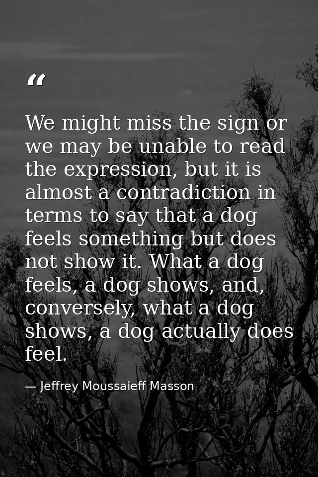 We might miss the sign or we may be unable to read the expression, but it is almost a contradiction in terms to say that — Jeffrey Moussaieff Masson