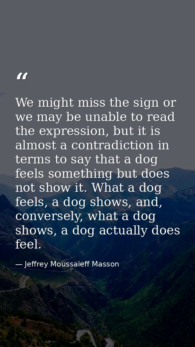 We might miss the sign or we may be unable to read the expression, but it is almost a contradiction in terms to say that — Jeffrey Moussaieff Masson