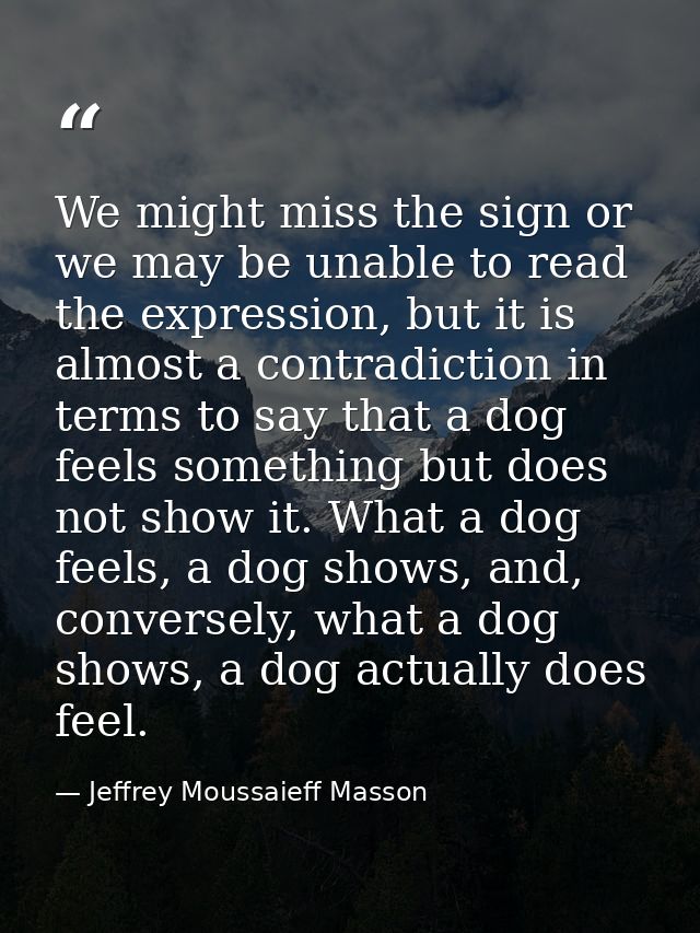 We might miss the sign or we may be unable to read the expression, but it is almost a contradiction in terms to say that — Jeffrey Moussaieff Masson