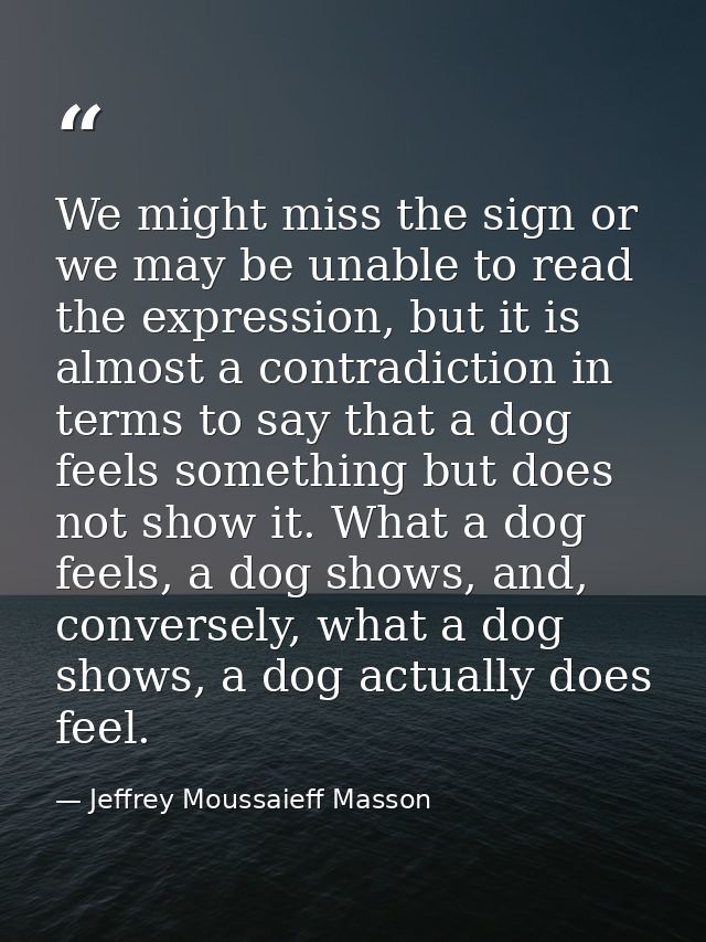 We might miss the sign or we may be unable to read the expression, but it is almost a contradiction in terms to say that — Jeffrey Moussaieff Masson