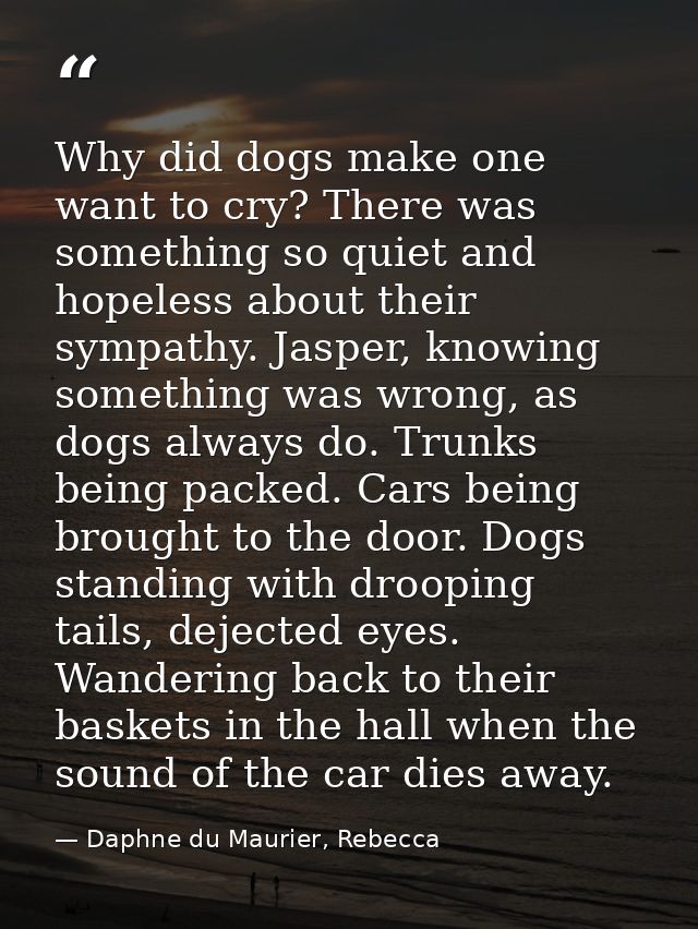 Why did dogs make one want to cry? There was something so quiet and hopeless about their sympathy. Jasper, knowing somet — Daphne du Maurier, Rebecca