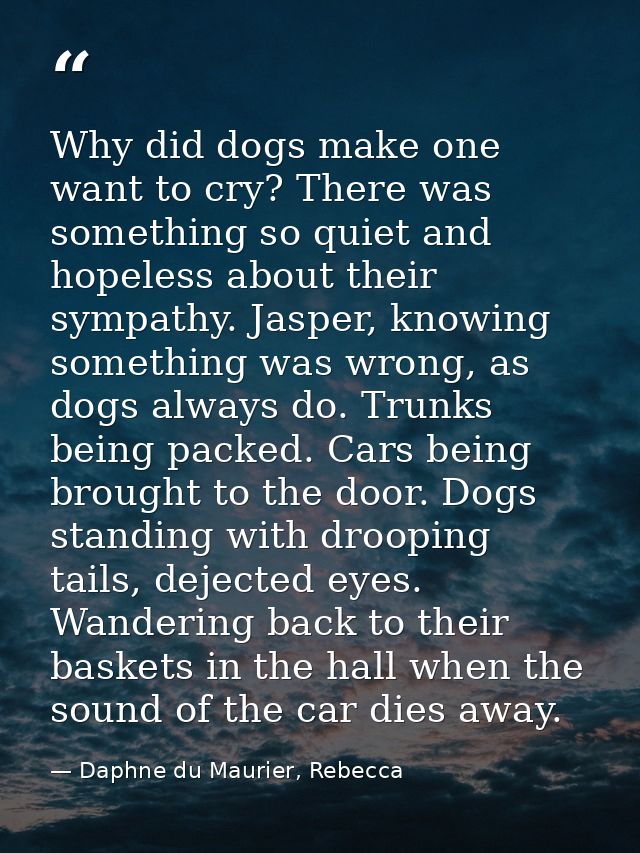 Why did dogs make one want to cry? There was something so quiet and hopeless about their sympathy. Jasper, knowing somet — Daphne du Maurier, Rebecca
