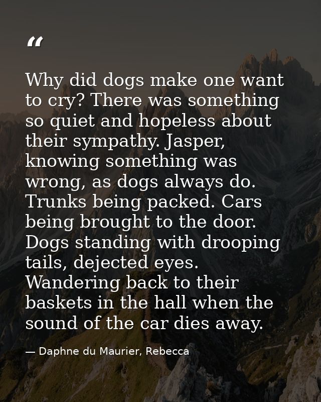 Why did dogs make one want to cry? There was something so quiet and hopeless about their sympathy. Jasper, knowing somet — Daphne du Maurier, Rebecca