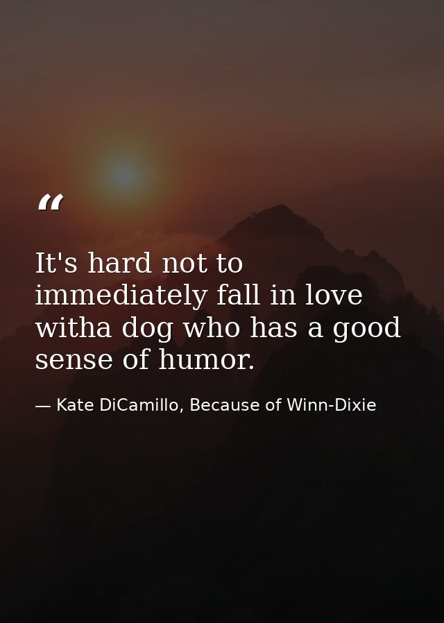 It's hard not to immediately fall in love witha dog who has a good sense of humor. — Kate DiCamillo, Because of Winn-Dixie