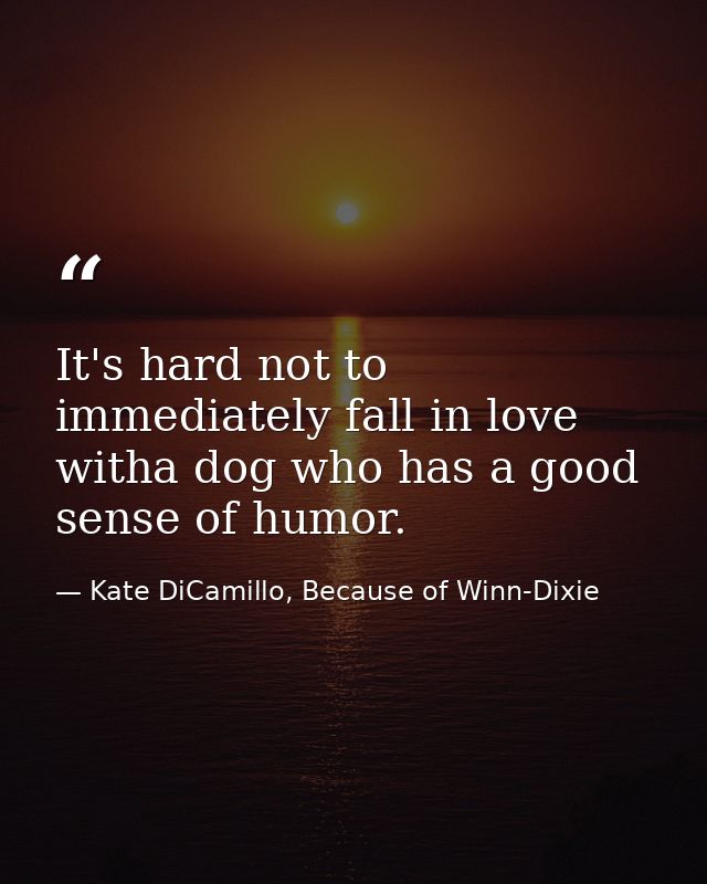 It's hard not to immediately fall in love witha dog who has a good sense of humor. — Kate DiCamillo, Because of Winn-Dixie