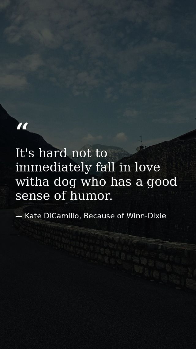 It's hard not to immediately fall in love witha dog who has a good sense of humor. — Kate DiCamillo, Because of Winn-Dixie