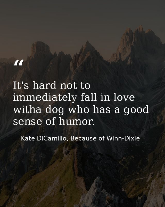 It's hard not to immediately fall in love witha dog who has a good sense of humor. — Kate DiCamillo, Because of Winn-Dixie