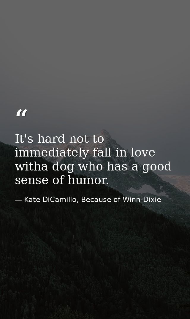 It's hard not to immediately fall in love witha dog who has a good sense of humor. — Kate DiCamillo, Because of Winn-Dixie