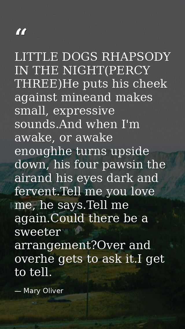 LITTLE DOGS RHAPSODY IN THE NIGHT(PERCY THREE)He puts his cheek against mineand makes small, expressive sounds.And when  — Mary Oliver
