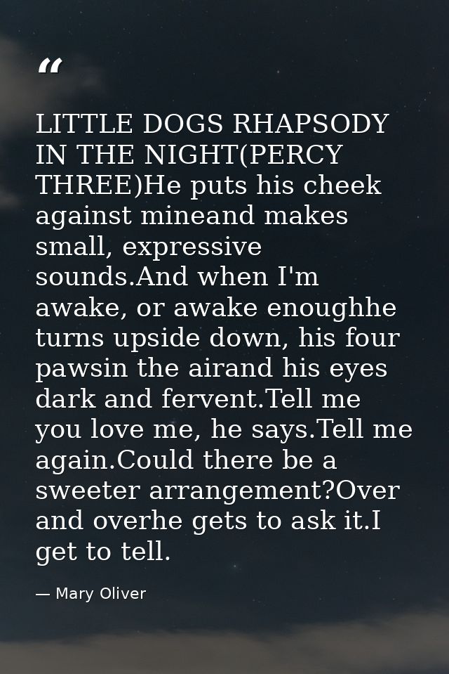 LITTLE DOGS RHAPSODY IN THE NIGHT(PERCY THREE)He puts his cheek against mineand makes small, expressive sounds.And when  — Mary Oliver