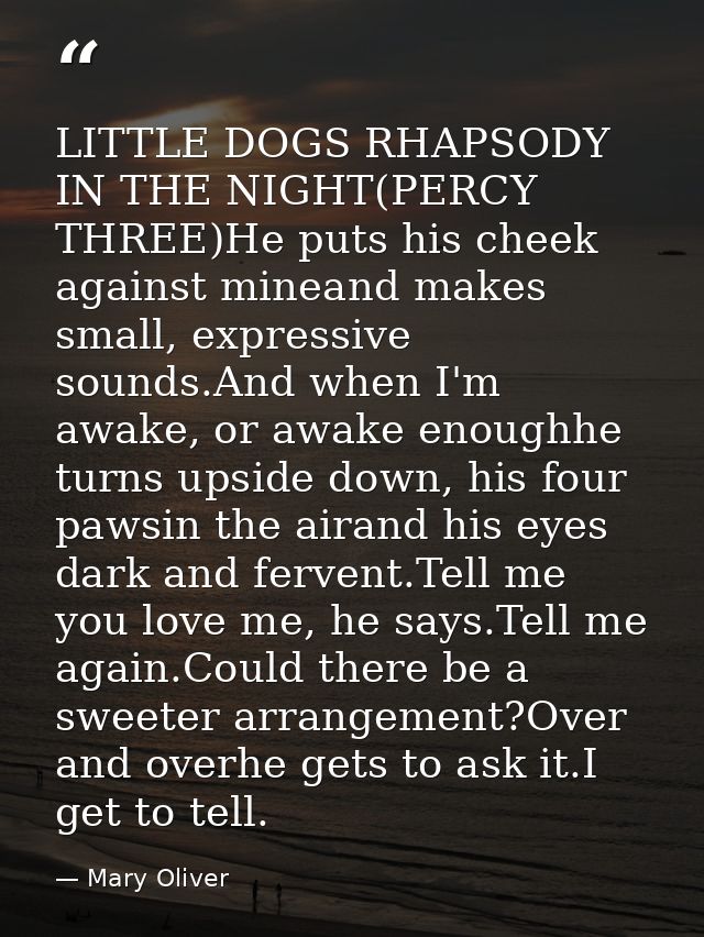 LITTLE DOGS RHAPSODY IN THE NIGHT(PERCY THREE)He puts his cheek against mineand makes small, expressive sounds.And when  — Mary Oliver