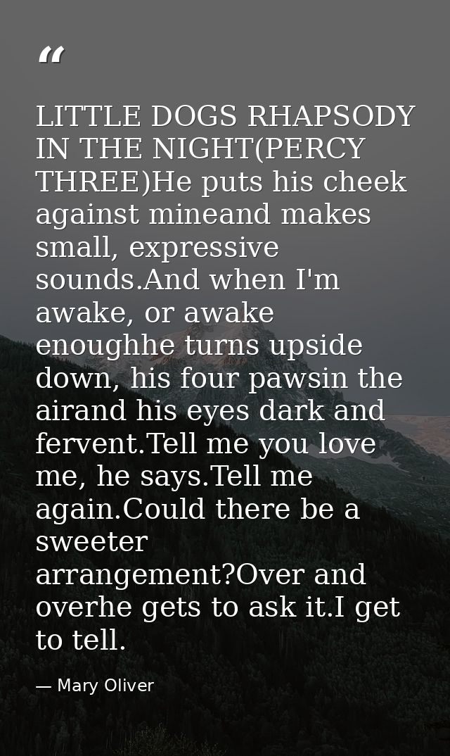 LITTLE DOGS RHAPSODY IN THE NIGHT(PERCY THREE)He puts his cheek against mineand makes small, expressive sounds.And when  — Mary Oliver