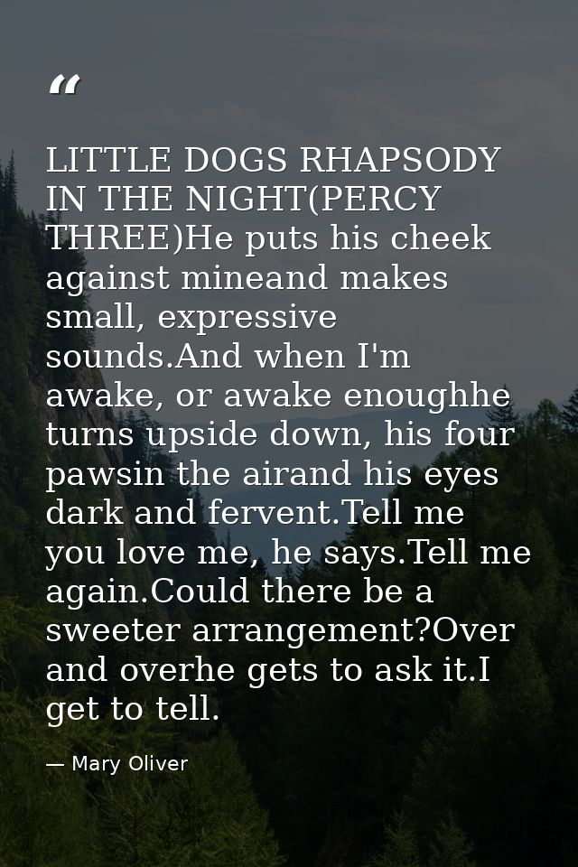 LITTLE DOGS RHAPSODY IN THE NIGHT(PERCY THREE)He puts his cheek against mineand makes small, expressive sounds.And when  — Mary Oliver
