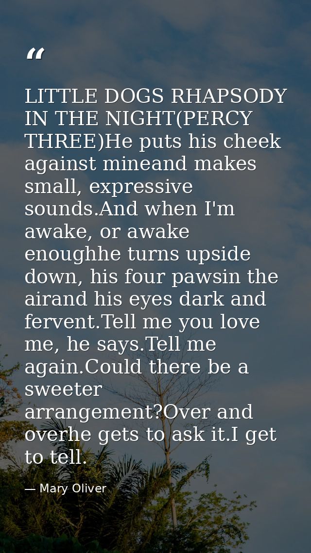 LITTLE DOGS RHAPSODY IN THE NIGHT(PERCY THREE)He puts his cheek against mineand makes small, expressive sounds.And when  — Mary Oliver