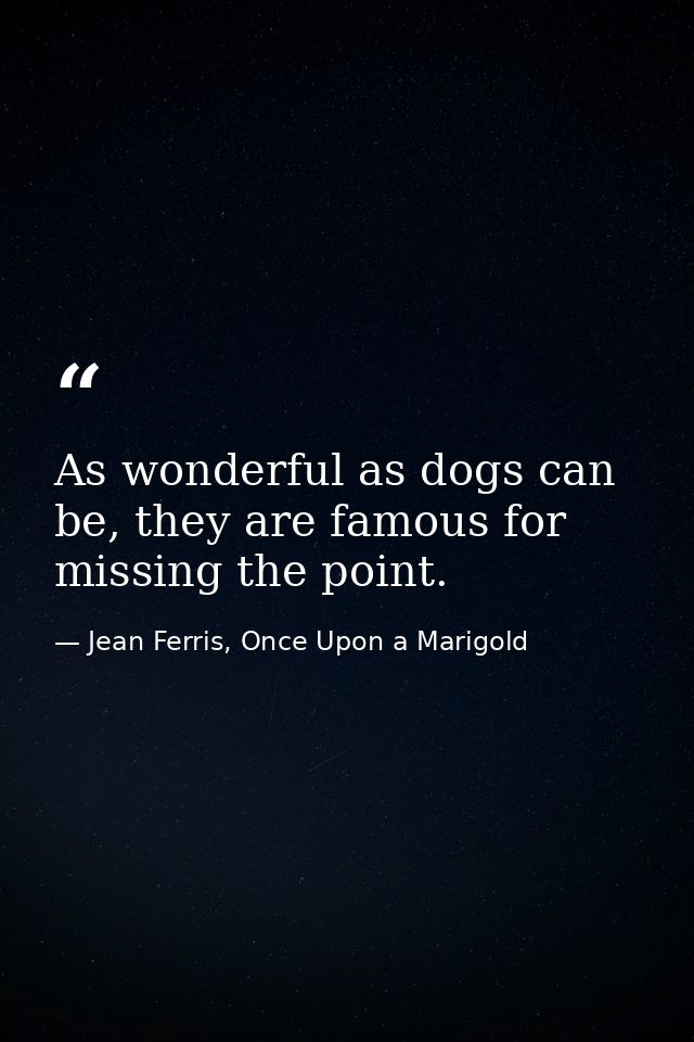 As wonderful as dogs can be, they are famous for missing the point. — Jean Ferris, Once Upon a Marigold