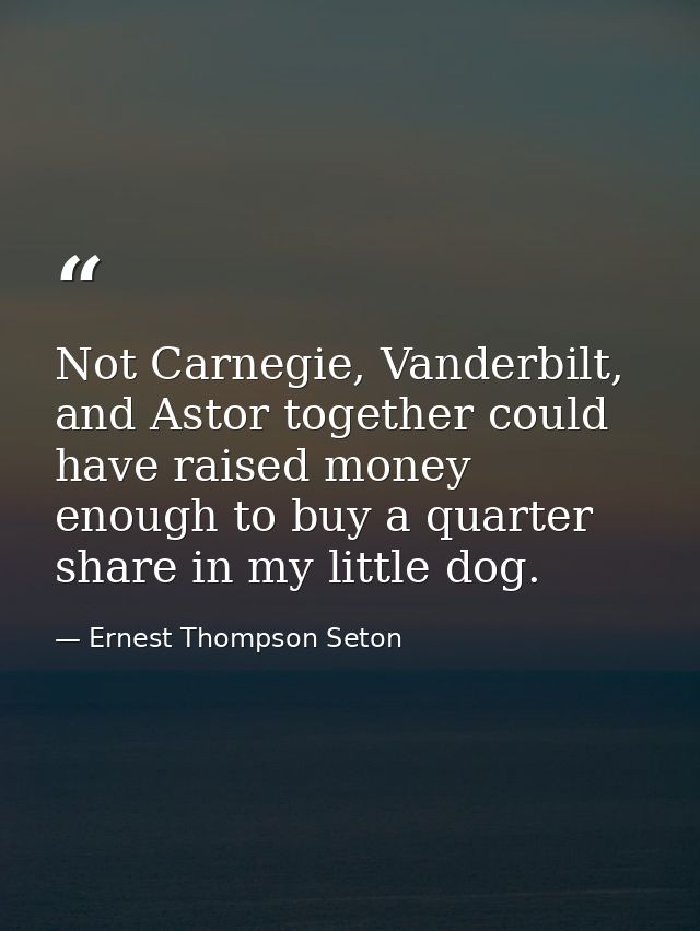 Not Carnegie, Vanderbilt, and Astor together could have raised money enough to buy a quarter share in my little dog. — Ernest Thompson Seton