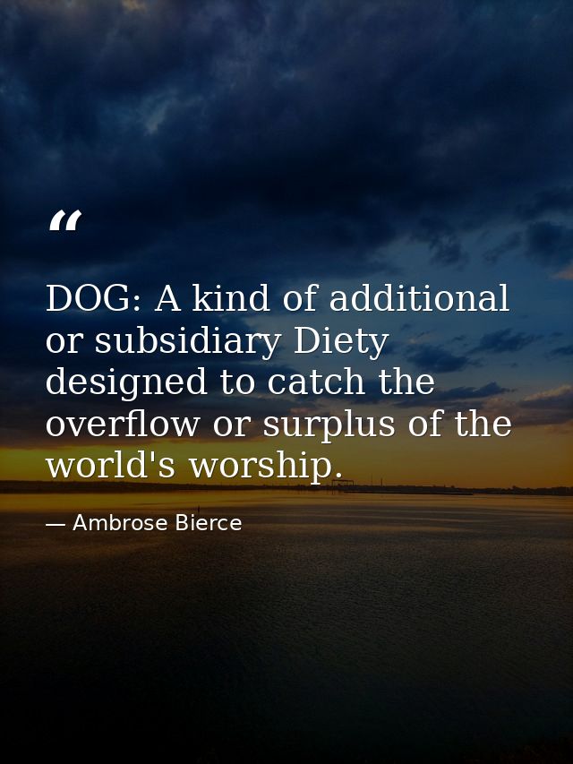 DOG: A kind of additional or subsidiary Diety designed to catch the overflow or surplus of the world's worship. — Ambrose Bierce