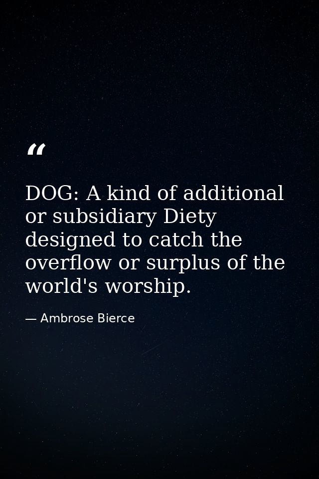 DOG: A kind of additional or subsidiary Diety designed to catch the overflow or surplus of the world's worship. — Ambrose Bierce