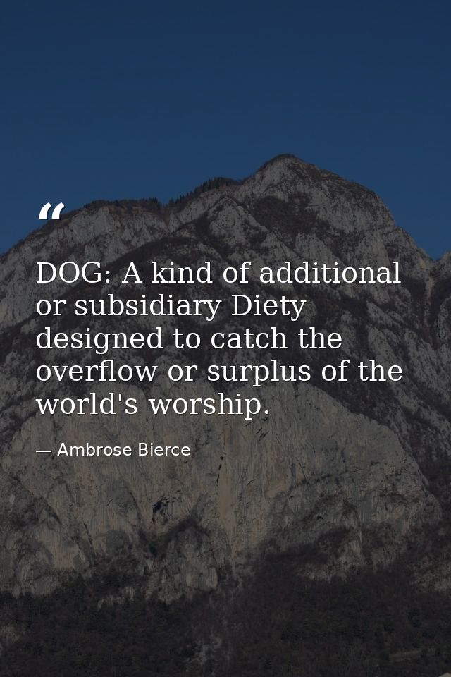 DOG: A kind of additional or subsidiary Diety designed to catch the overflow or surplus of the world's worship. — Ambrose Bierce