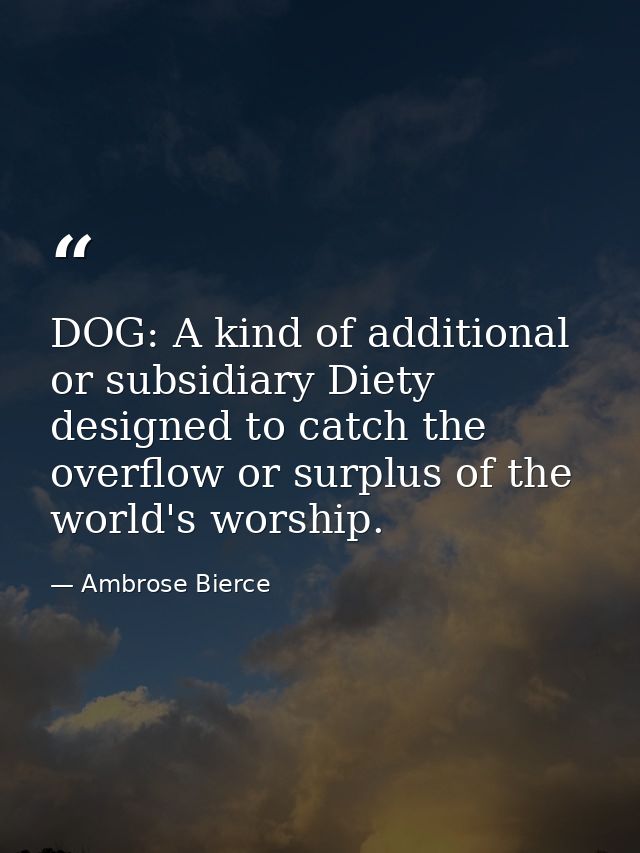 DOG: A kind of additional or subsidiary Diety designed to catch the overflow or surplus of the world's worship. — Ambrose Bierce