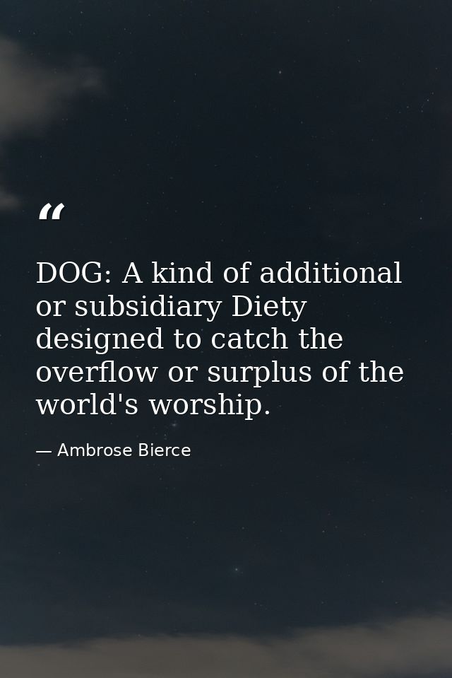 DOG: A kind of additional or subsidiary Diety designed to catch the overflow or surplus of the world's worship. — Ambrose Bierce