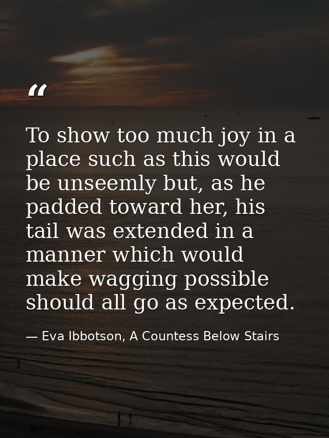 To show too much joy in a place such as this would be unseemly but, as he padded toward her, his tail was extended in a  — Eva Ibbotson, A Countess Below Stairs