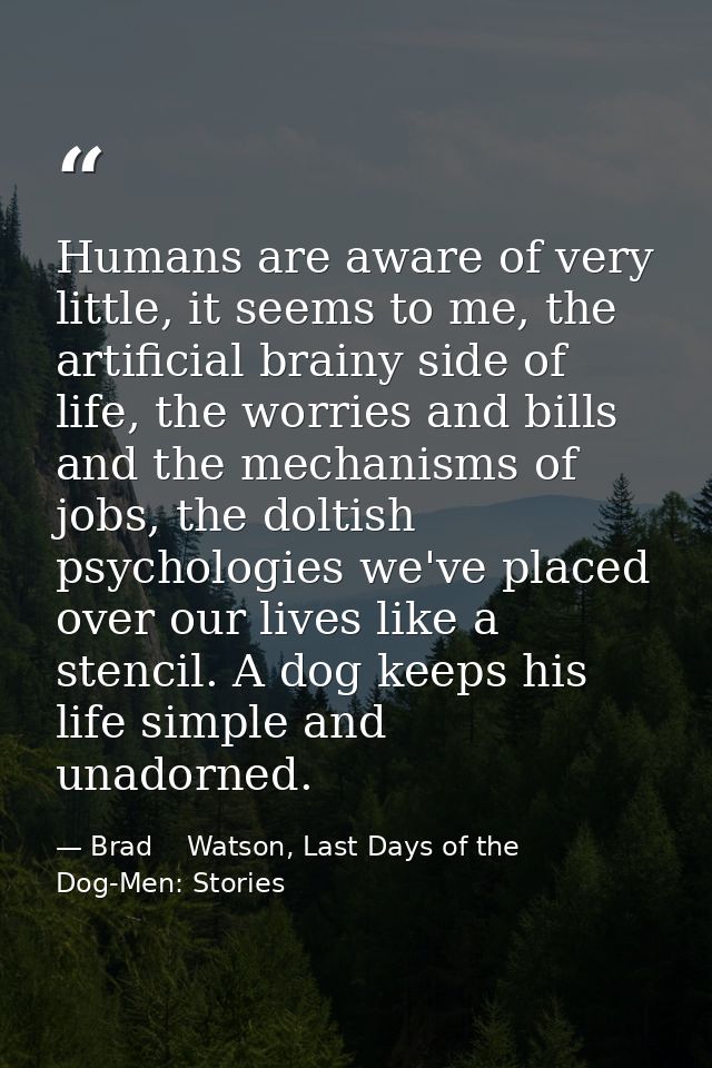 Humans are aware of very little, it seems to me, the artificial brainy side of life, the worries and bills and the mecha — Brad    Watson, Last Days of the Dog-Men: Stories