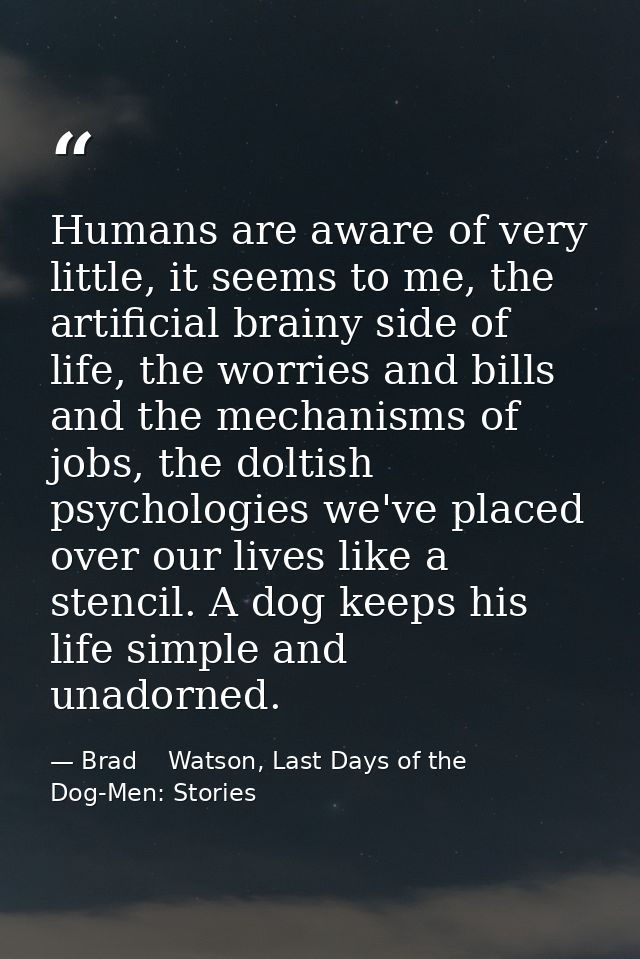 Humans are aware of very little, it seems to me, the artificial brainy side of life, the worries and bills and the mecha — Brad    Watson, Last Days of the Dog-Men: Stories