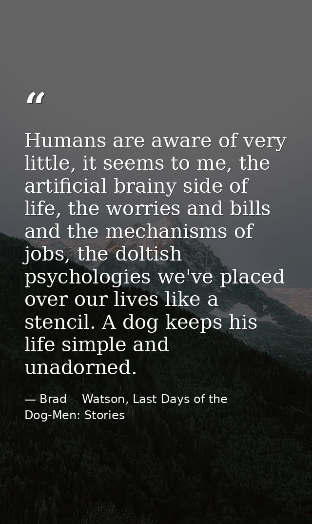 Humans are aware of very little, it seems to me, the artificial brainy side of life, the worries and bills and the mecha — Brad    Watson, Last Days of the Dog-Men: Stories