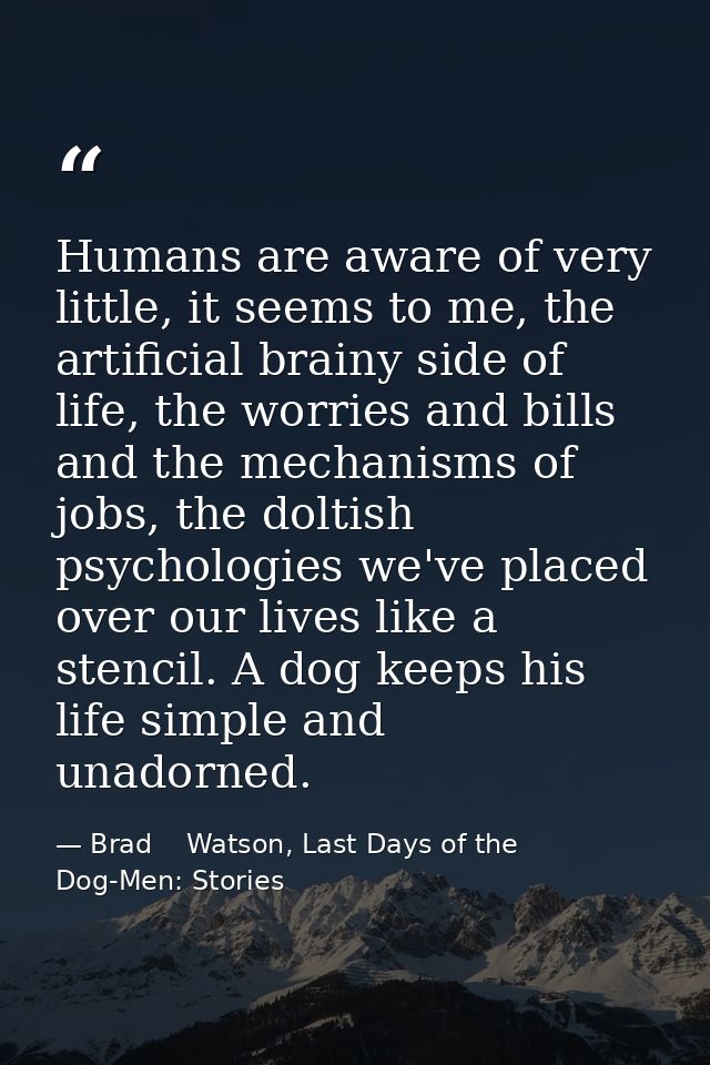 Humans are aware of very little, it seems to me, the artificial brainy side of life, the worries and bills and the mecha — Brad    Watson, Last Days of the Dog-Men: Stories