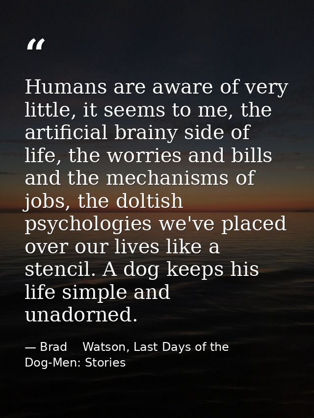Humans are aware of very little, it seems to me, the artificial brainy side of life, the worries and bills and the mecha — Brad    Watson, Last Days of the Dog-Men: Stories